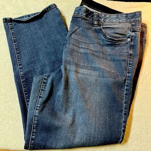 Lane Bryant Venezia Jeans High Rise Jeans 22 S Short Medium Blue Denim Wash